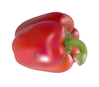 红铃辣椒蔬菜红色渐变网格胡椒插图绿色背景图片