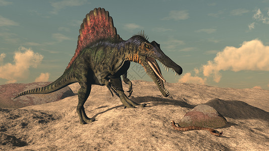 亚目猎蛇的脊柱恐龙三维化身背景