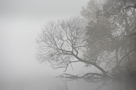柳岩复古秋雾的清晨 薄雾河黎明森林旅行风景季节反射木头天空环境公园薄雾背景
