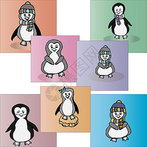 插图矢量企鹅 动物企鹅一套漫画荒野冻结哺乳动物围巾帽子卡通片团体问候语姿势背景图片