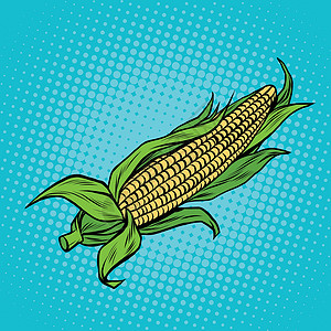 核心肌群玉米的耳朵 收获 农业插画