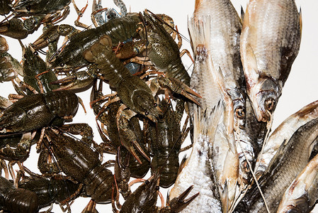 白底干鱼和活龙虾海鲜尾巴螃蟹小龙虾红色盐渍白色动物贝类甲壳背景图片