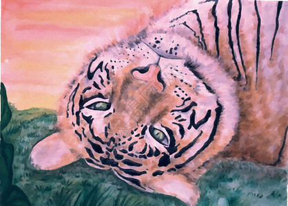 老虎的咆哮 图片插图漫画力量猫科动物狮子背景图片