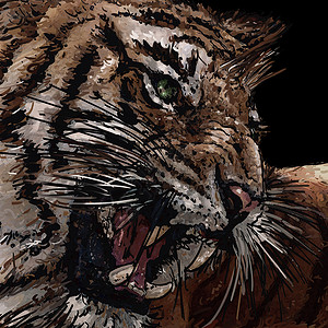 老虎的咆哮 图片插图力量狮子漫画猫科动物背景图片