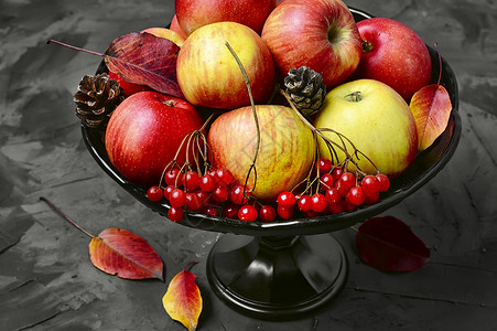 苹果和收成红色乡村季节水果花园浆果叶子背景图片