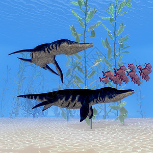 游泳爬行动物海洋爬行动物3d野生动物怪物灭绝海洋生物恐龙插图侏罗纪鲷鱼蜥蜴背景