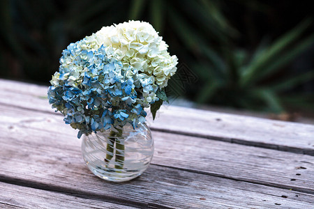 白色和蓝色Hydranga花花花园花朵绣球花花束乡村花瓣植物木头背景图片