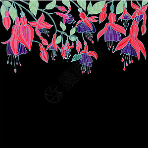 手画的美花纹理 配有Fuchsia花朵背景图片