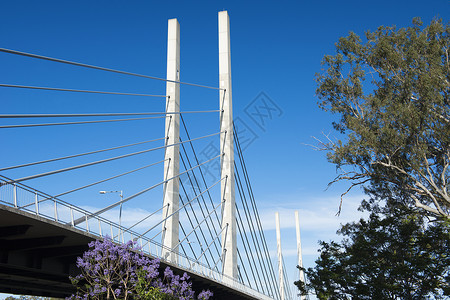 桥视图景观建筑学蓝色公交天空专用城市背景图片