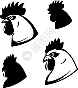 桂花鸡米头一套鸡头 公鸡头 徽标的设计元素插画