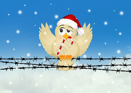 带圣诞糖果的鸟问候语庆典麻雀插图金属翅膀动物明信片高清图片