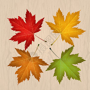 秋季假期折扣购物横幅销售树叶零售标签商业店铺插图背景图片