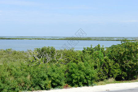通往横跨大西洋的卡约科科岛的道路可可植被树木海洋背景图片