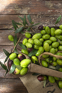 大型绿橄榄脂肪水果叶子工作橄榄绿绿色植物团体背景图片