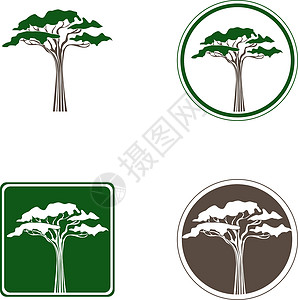 Acacia 树木逻辑设计集背景图片