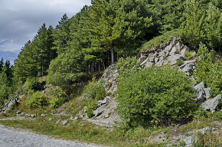 郡托科多岩石的阿莱科高清图片
