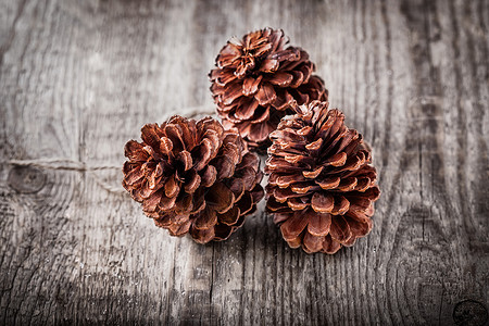 三个松果木头棕色柔焦框架静物摄影季节风化背景图片