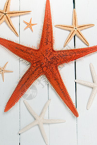 白木上的海星白色橙子海洋工作室星星木头风格装饰背景图片