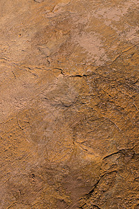 石块上的恐龙足迹烙印痕迹动物脚步考古学模具祖先灭绝踪迹侏罗纪背景图片