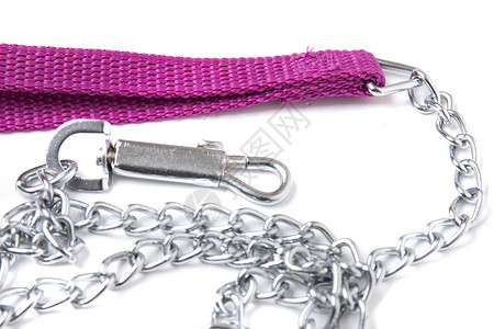粉色颈链项圈狗链目标金属白色控制宠物力量安全粉色衣领背景