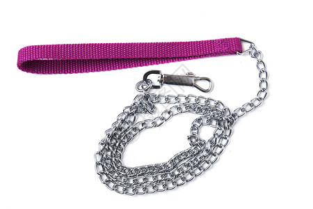 粉色颈链项圈狗链目标力量宠物白色衣领安全控制金属粉色背景