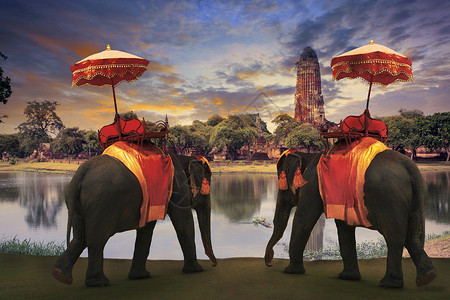 大象装饰泰王国传统附属品sandi寺庙宝塔城市文化公园宗教池塘旅行世界水池背景