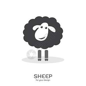 白色绵羊白色背景的羊设计矢量设计图片