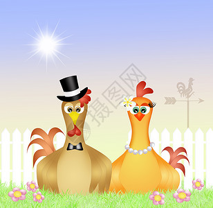 几对鸡庆典明信片翅膀夫妻小鸡婚姻插图公鸡母鸡婚礼背景图片