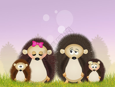 刺绣猪家庭荒野羽毛夫妻婚姻刺猬插图婚礼动物森林配偶背景图片