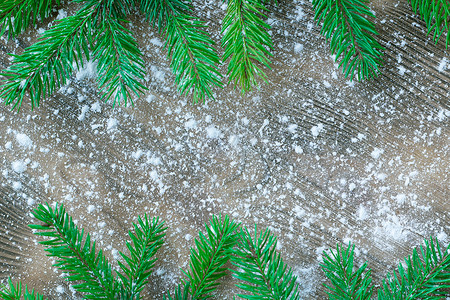 圣诞树的绿树枝 在冬天下雪的寒冬背景图片