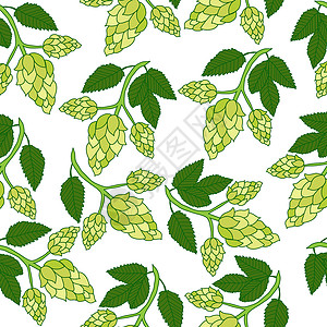 啤酒花植物无缝图案手绘风格 啤酒花背景 啤酒花壁纸 它制作图案矢量绿色藤蔓白色啤酒酒精植物学啤酒厂墙纸草图插图背景图片