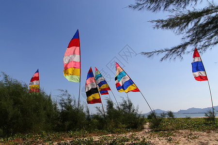 海滩风边的多彩旗帜背景图片