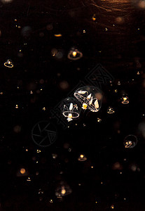 小型雨伞水母 叫做海洋水族馆芡实海蜇盐水触手背景图片