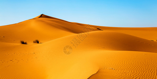 撒哈拉沙漠沙丘 摩洛哥梅尔祖加后台天空土地风景荒野旅游冒险橙子沙漠自由背景图片