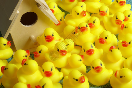 小房子为鸟橡胶鸭浴缸漂浮橡皮婴儿人群团体乐趣黄色鸭子小鸭子背景
