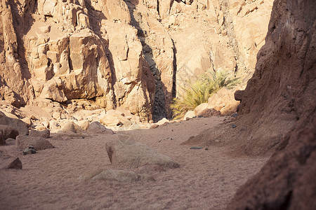 埃及的峡谷在悬崖边缘最上方 青梅竹马石灰石石头晴天酋长岩石天空红色棕色砂岩半岛背景