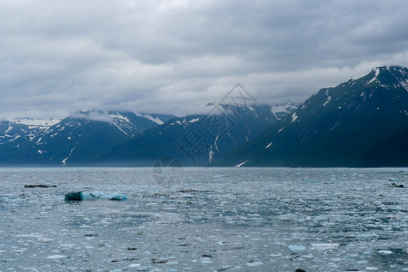 哈伯德冰川环境公园高清图片