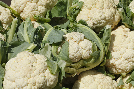 花椰菜花联盟食物蔬菜市场菜花摊位背景图片
