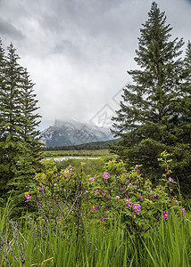 Ver百万湖泊     加拿大艾伯塔班夫国家公园背景图片