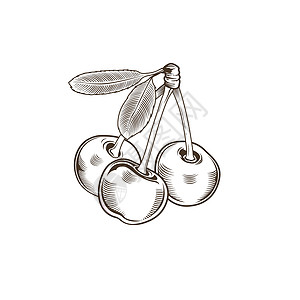 樱桃剪贴画古代樱桃风格广告叶子标签插图水果绘画果汁线条浆果艺术背景