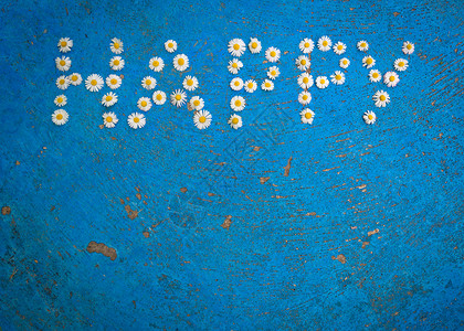 快乐这个词 写在蓝背景的菊花上情感字体白色幸福拼写首都蓝色雏菊黄色背景图片