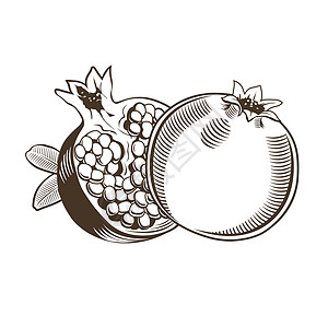 叶子剪贴画古代风格中的石榴雕刻果汁收成烹饪叶子绘画线条蜜饯水果餐厅背景