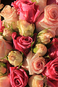 混合粉红玫瑰花装饰品玫瑰捧花新娘紫色中心插花婚礼装饰鲜花背景图片