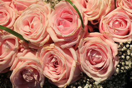 混合粉红玫瑰花装饰品紫色捧花新娘玫瑰插花中心鲜花装饰婚礼背景图片