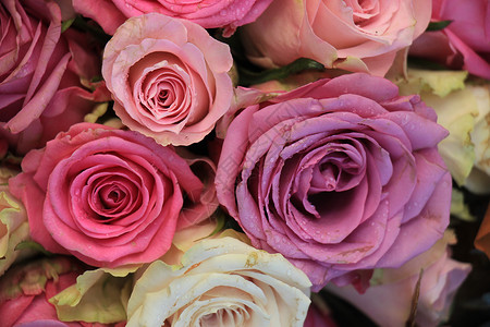 混合粉红玫瑰花中心装饰品装饰捧花紫色婚礼新娘玫瑰插花鲜花背景图片
