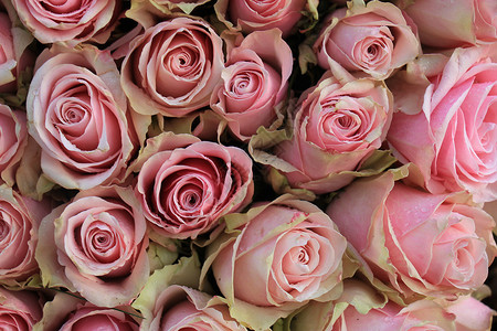 粉红色婚礼玫瑰捧花插花装饰中心装饰品新娘鲜花背景图片