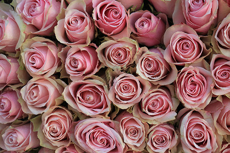 粉红色婚礼玫瑰装饰鲜花捧花装饰品新娘插花中心背景图片