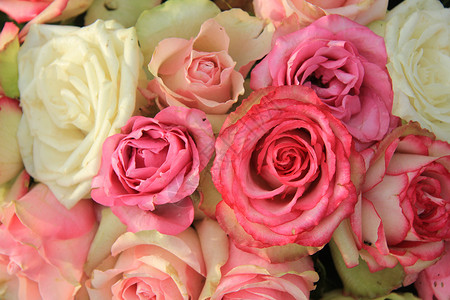 混合粉红新娘玫瑰婚礼鲜花粉色捧花花瓣装饰背景图片