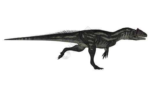 正在运行的同龙恐龙3D制成侏罗纪捕食者历史爬虫灭绝蜥蜴食肉野生动物插图白色背景图片
