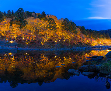 古兰经 森林秋季公园名古屋世界旅行旅游树木地标文化木头光洋风景游客背景图片